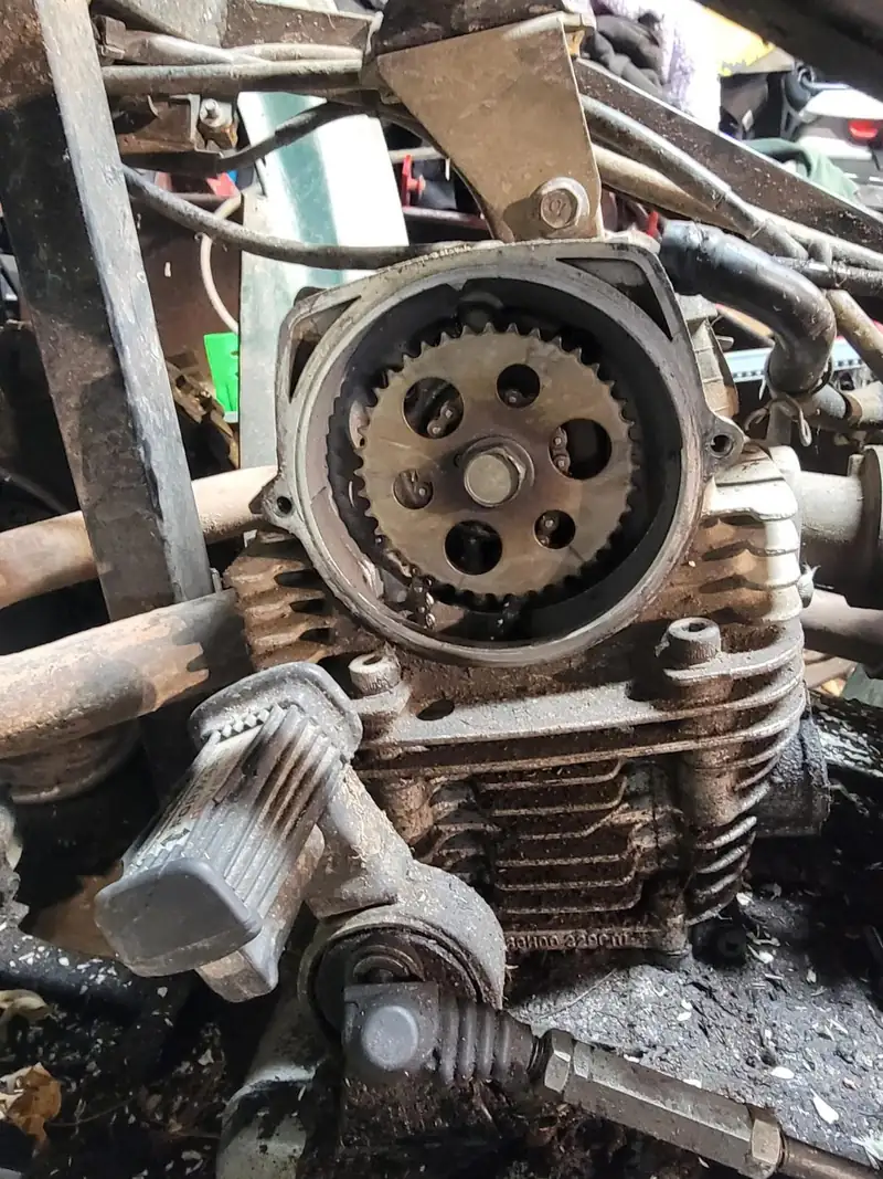 An engine opened up, cam gear and chain visible.
